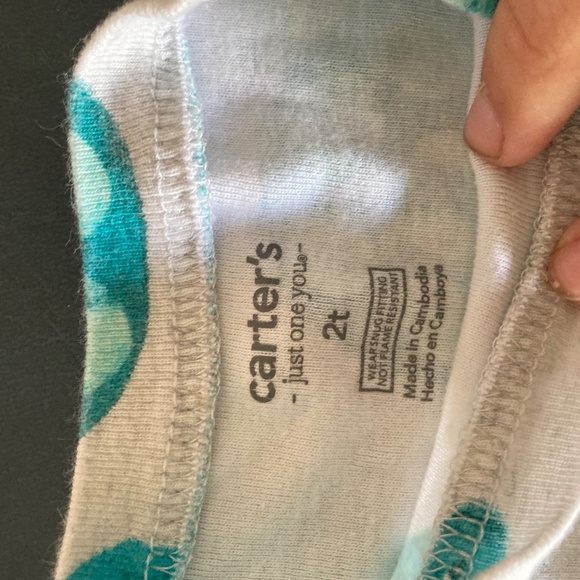 Turtle Top - Picture 2 of 2